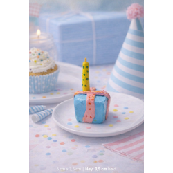 F�dselsdag gaven 1