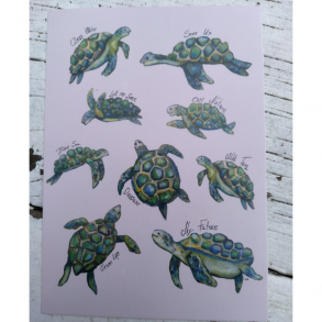 Havskildpadde citater A6