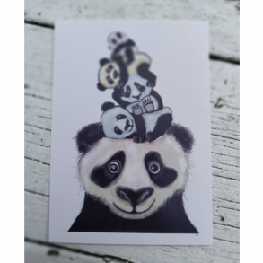Panda totm A6