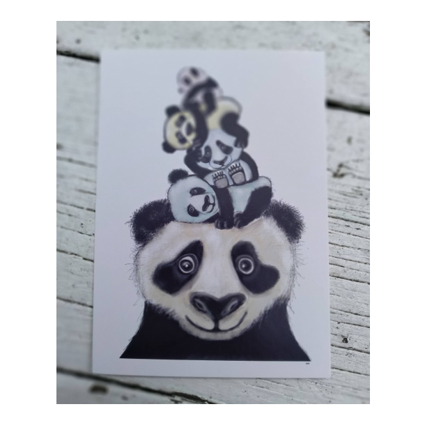 Panda totm A6