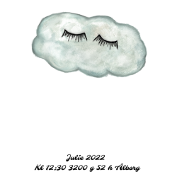 Fingeraftryks plakat lille Sky  