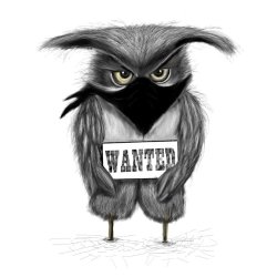 Ugle Bandit illustration 