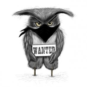 Ugle Bandit illustration 