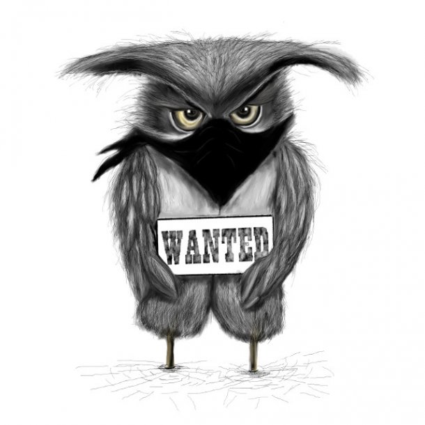 Ugle Bandit illustration 