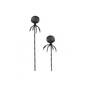 Lille Sen sommer btte