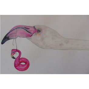 Flamingo