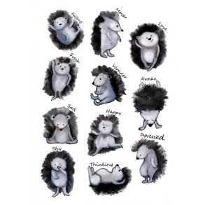 Pindsvin dage / Hedgehogs Mood 