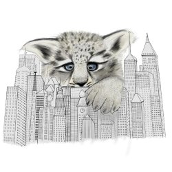 City Leopard