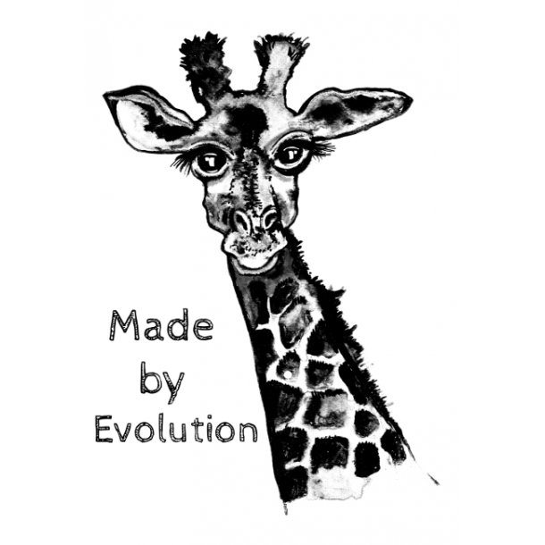 Made by Evolution 