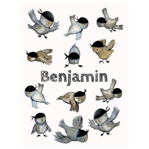 Navne plakat med bandit fugle