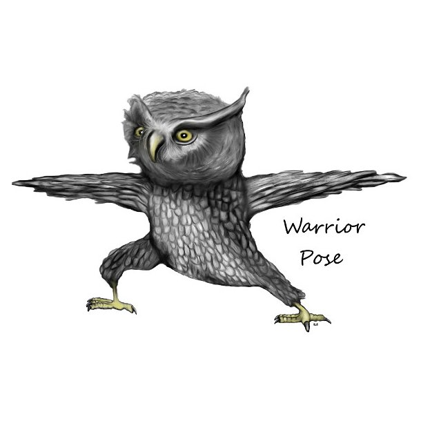 Owl Warrior Pose