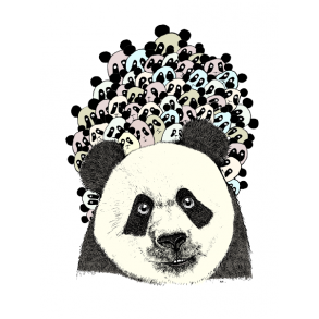 Panda followers