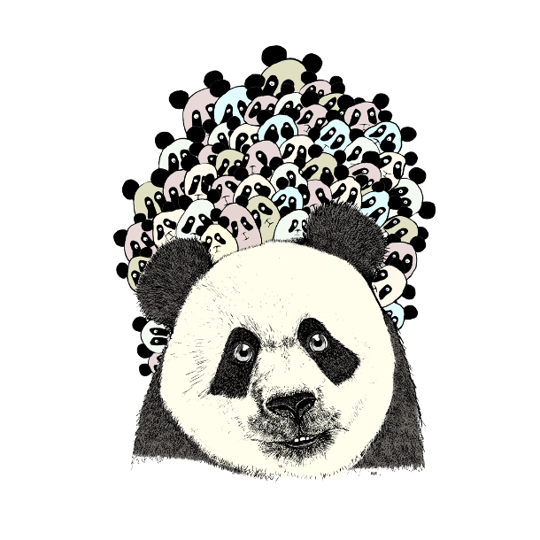 Panda followers