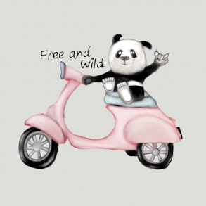 Panda p Scooter 