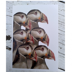 puffins head A6