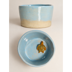 Lille skildpaddesk�l