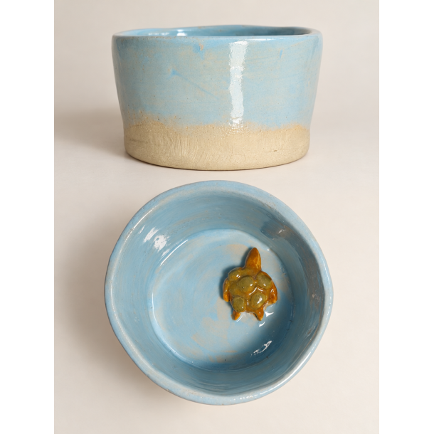 Lille skildpaddesk�l