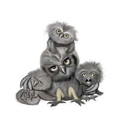 Owl Family