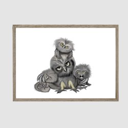 Owl Family