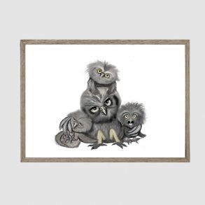 Owl Family