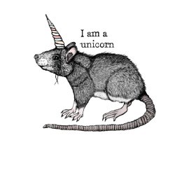 Unicorn Rat 
